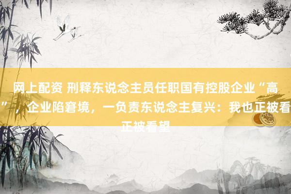 网上配资 刑释东说念主员任职国有控股企业“高管” ,企业陷窘境,一负责东说念主复兴:我也正被看望