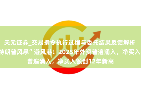 天元证券_交易指令执行过程与委托结果反馈解析 日本股市成“特朗普风暴”避风港!2025年外资普遍涌入,净买入额创12年新高